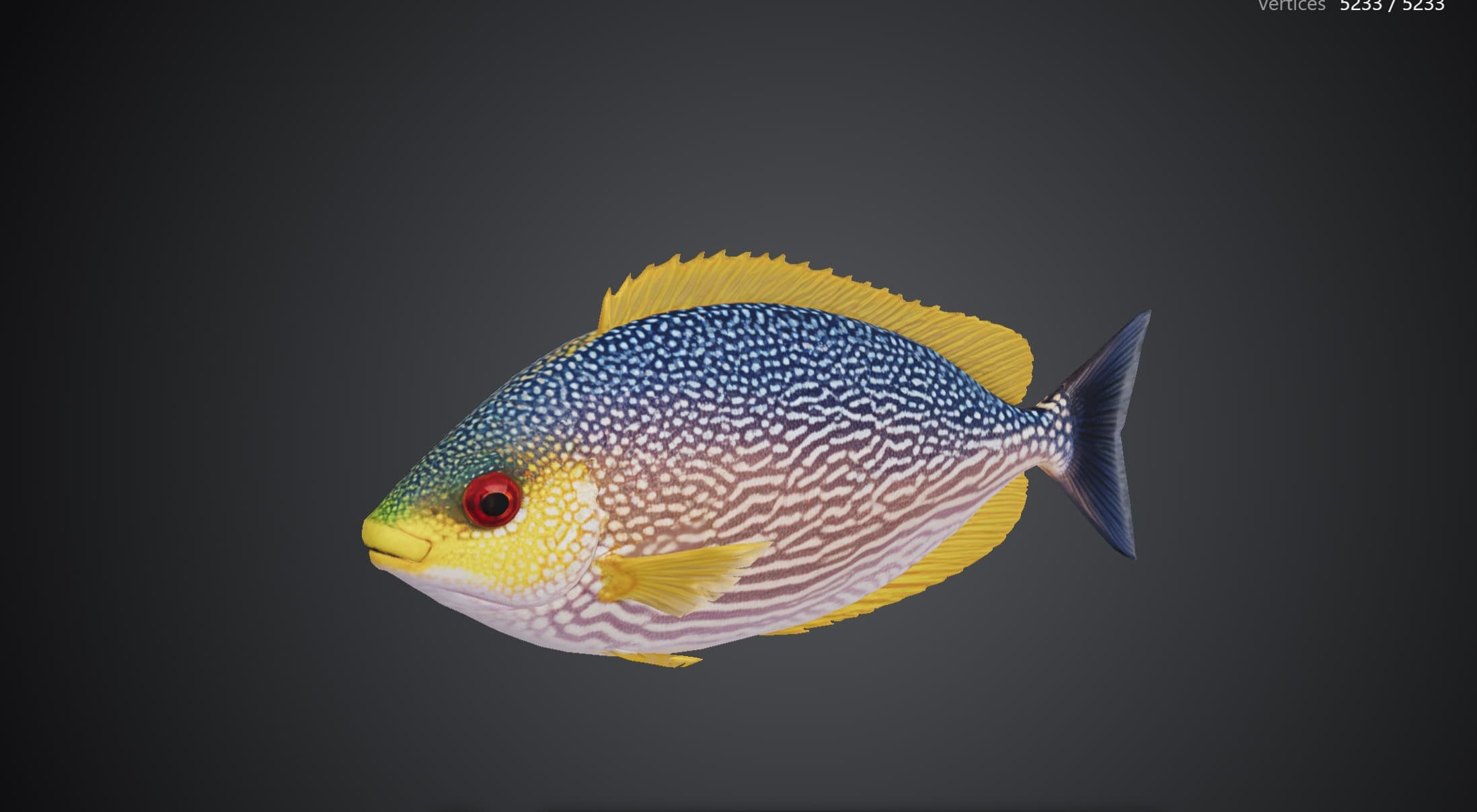 ปลาสลิดหินแขก (Siganus javus)